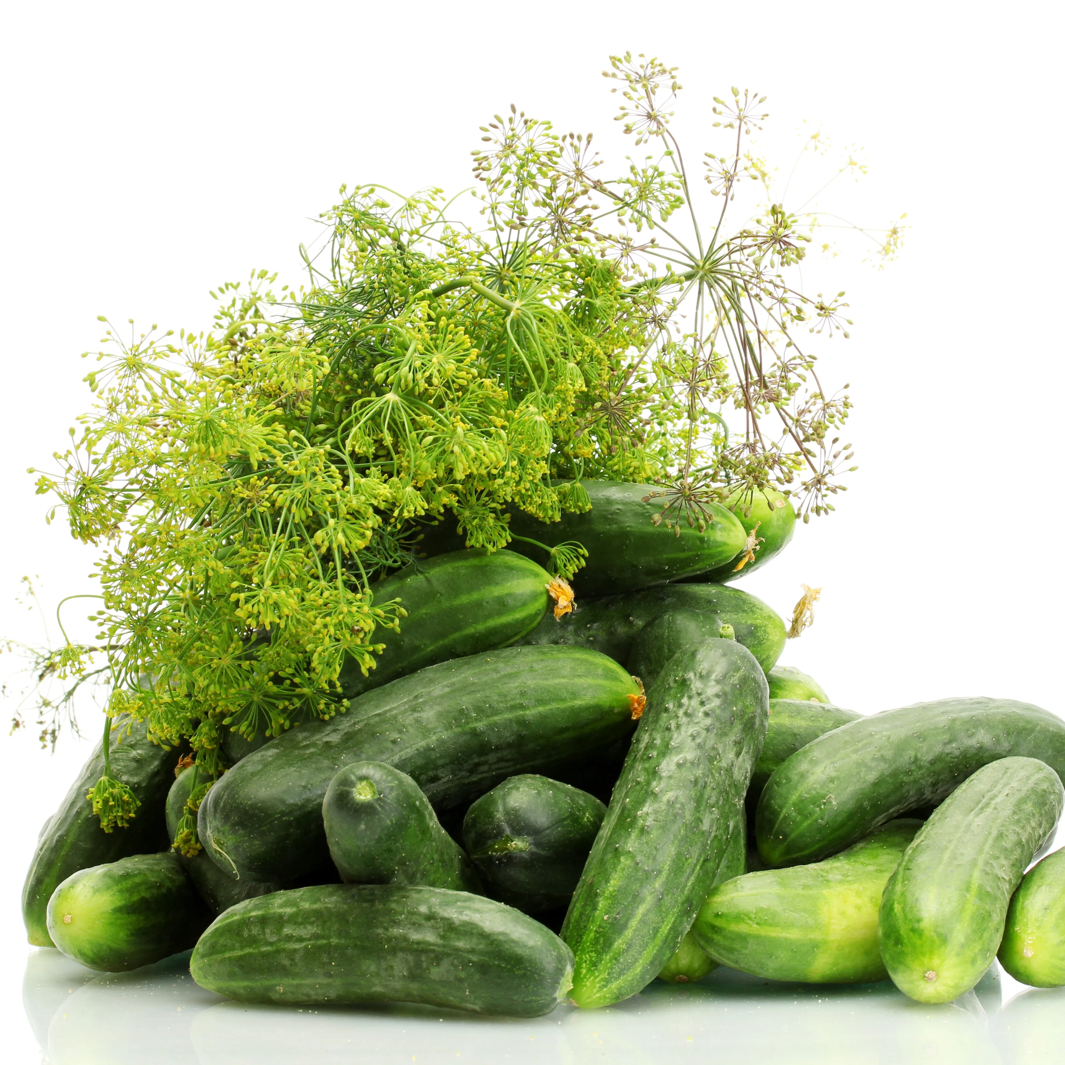 Concombre Ă cornichon 'Eureka' F1